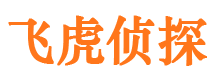 郏县市私家侦探